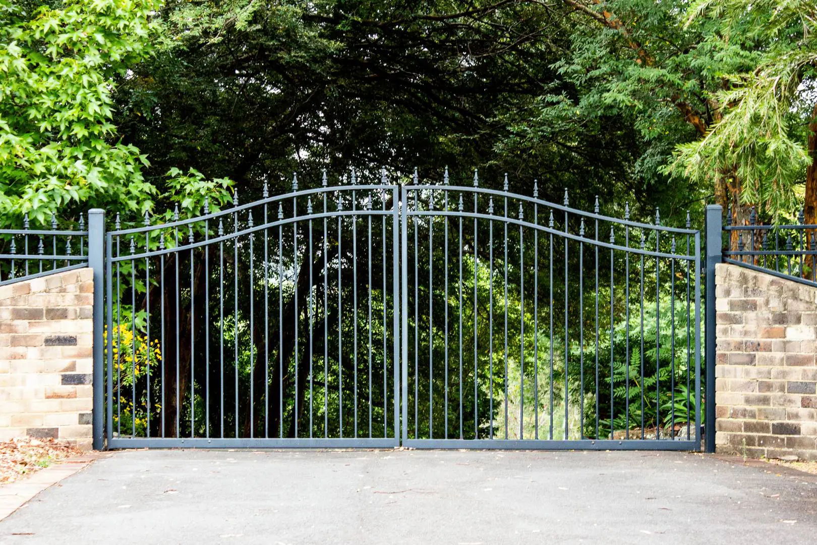 Black iron gate in greenery
